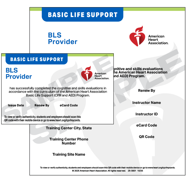 BLS certification session materials